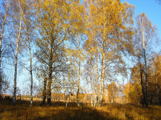 36227 (a): :1024x768